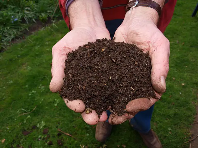 how to make compost